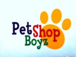 pet shop boyz